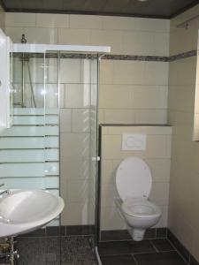 a bathroom with a toilet and a sink at Ferienwohnungen Steidl in Innervillgraten +60 photos