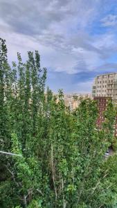 a group of trees in front of some buildings at Уютная трехкомнатная квартира с видом на море в Баку in Baku