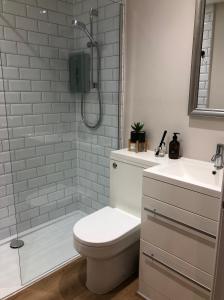 een badkamer met een douche, een toilet en een wastafel bij Orchard house guest studio accommodation in Marchwiel