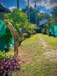 สวนหย่อมนอก Ozone Beach House