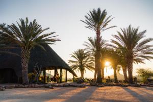 a group of palm trees and a gazebo at Ai Aiba - The Rock Painting Lodge in Omaruru