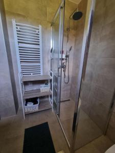 W łazience znajduje się prysznic ze szklanymi drzwiami. w obiekcie Vila Mira Zlatar w mieście Nova Varoš