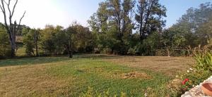 a large field with trees in the background at La Grangette 24540 Vergt de Biron in Saint-Martin-de-Villeréal +5 photos
