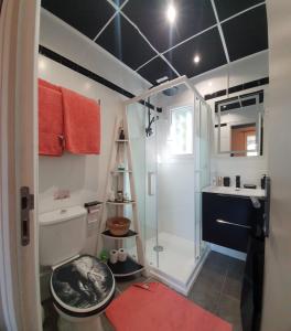 La salle de bains est pourvue d'une douche, de toilettes et d'un lavabo. dans l'établissement Studio de charme à 300 m de la Plage de Santa Giulia, à Porto-Vecchio