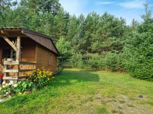a cabin in the middle of a yard at Domek holenderski - drewniany w centrum Kaszub in Szklana Huta
