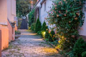 Un jardín fuera de Apartman Centar