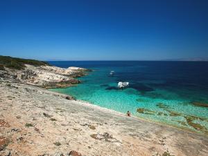 a horse standing in the water on a beach at Stone House Harmony in Korčula