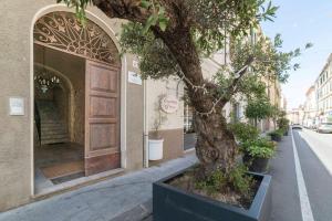 a tree in a black planter next to a building at Vintage Cavour Apartment in Sassari