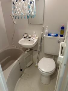 a small bathroom with a toilet and a sink at 花乃郷 赤羽 in Tokyo