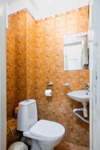 een badkamer met een toilet en een wastafel bij Sofia's Vintage Gem: Spacious 2BD Flat on Solunska in Sofia