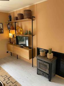a living room with a tv and a shelf with a cactus at Cottage de la Risle in Pont-Audemer