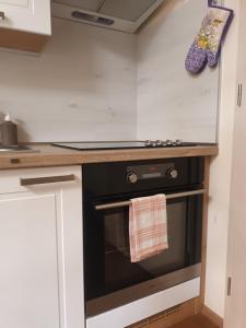 Kuchyň nebo kuchyňský kout v ubytování Apartmán Šumavský Buk 14 Brčálník
