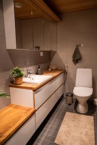 uma casa de banho com um lavatório e um WC em Unique City Home in Rovaniemi em Rovaniemi