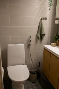 uma casa de banho com um WC e um lavatório em Unique City Home in Rovaniemi em Rovaniemi