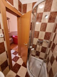 a shower with a glass door in a bathroom at Zöldsziget Menedék, Rendezvény-és pihenőház in Bárna