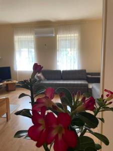 a vase of flowers in a living room with a couch at Tápé in Szeged