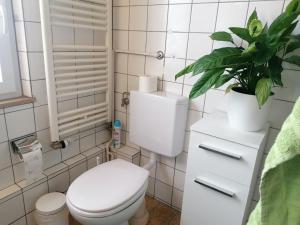 a bathroom with a toilet and a potted plant at Großes Gästezimmer mit Kühlschrank in Marbach am Neckar