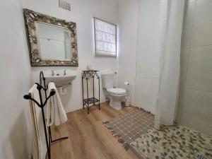 a bathroom with a toilet and a sink and a mirror at Palmview House in Hermanus