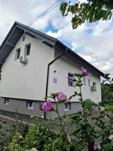 una casa blanca con flores púrpuras delante de ella en Aparthouse Jana Breg, en Žirovnica