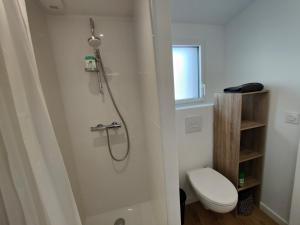 a bathroom with a shower and a toilet and a window at Escapade aux dunes in Brétignolles-sur-Mer +22 photos