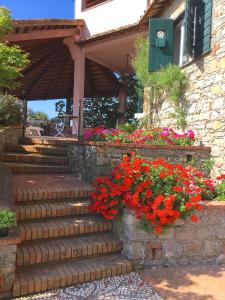 Zahrada ubytování B&B Le Palme