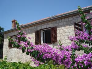 a building with purple flowers in front of it at Apartments Zoe in Bol