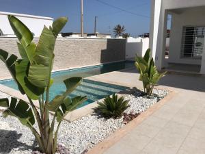 a house with a swimming pool and some plants at Villa Houmet Souk in Houmt Souk