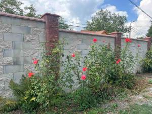 una pared de piedra con flores rojas junto a una valla en Sioni Resort, en Sioni