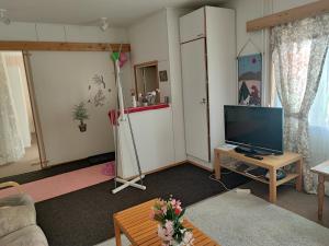een woonkamer met een flatscreen-tv en een woonkamer met een tv bij Half a house w/your own door, 60m2 in Tornio