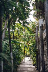 Uman Glamping & Cenote Tulum في تولوم: طريق من خلال حديقة فيها اشجار وزهور