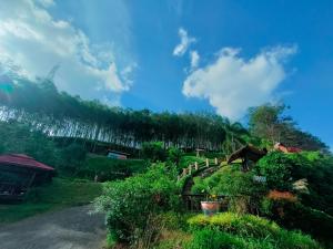 Zahrada ubytování Doisky Phangnga + 37 fotografií