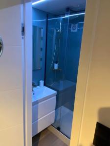 a bathroom with a glass shower and a sink at SVANESUND - Hausboot im Herzen von Göteborg in Gothenburg