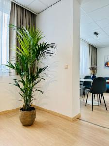 eine Topfpflanze, die in einem Büro auf dem Boden liegt in der Unterkunft Urbanstay Suites - Grand Place 2 Bd Penthouse in Brüssel