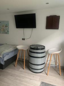 a room with a bed and a tv and two chairs at Cosy open plan Cabin in Dublin 11 suit 2 persons in Dublin
