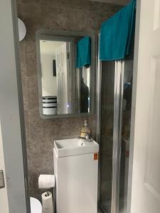 een badkamer met een wastafel en een spiegel bij Cosy open plan Cabin in Dublin 11 suit 2 persons in Dublin