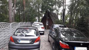 Fotografia z galérie ubytovania OSTOJA Ślesin v destinácii Ślesin