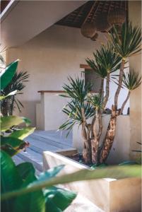 庫塔的住宿－Olea Villas Resort，一座建筑中的一棵棕榈树