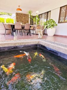 einen Koi-Teich in der Mitte eines Hauses in der Unterkunft Villa Elodia by Le Duc Hotel & Villas in Mahé