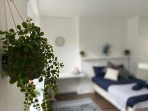 um quarto com uma cama e um vaso de plantas em Glasshouse yard studio's F1 em Londres