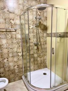 a shower in a bathroom with a toilet at Villa-Sofia Mini-hotel in Odesa