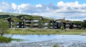 a building with grass on its roof next to a river at Geilotunet H224 - 6 person apartment in Geilo