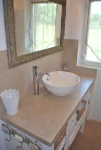 ein Badezimmer mit einem Waschbecken und einem Spiegel auf der Theke in der Unterkunft le cabanon tendance du Luberon in Mérindol