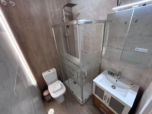 ein Bad mit einer Dusche, einem WC und einem Waschbecken in der Unterkunft Nice flat in Gran Via CB-GRAC-18B in Madrid