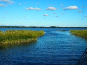Suur AhvenkoskiSöderstrand B&B Pihlaja Room的两幅有草云的河流图