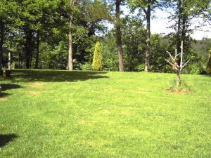 a park with a tree in the middle of a field at Casa Vilanova in A Coruña