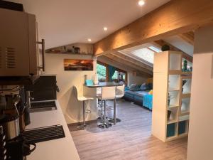 Kuchyň nebo kuchyňský kout v ubytování Apartment Villa Sonnegg