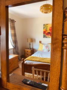 a bedroom with a bed and a mirror at Dulrush Lodge Guest House, Restaurant and Self-Catering in Belleek