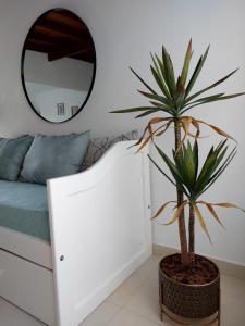 a potted plant in a bedroom with a mirror at Departamento Tandil in Tandil