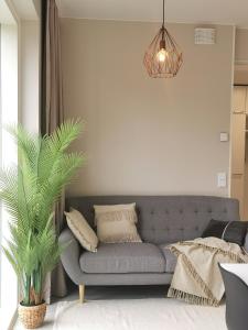 a living room with a gray couch and a palm tree at Apartment Beach & Golf Kalajoki in Kalajoki