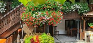 Φωτογραφία από το άλμπουμ του Стаи за гости The Old House στο Βέλινγκραντ +73 φωτογραφίες